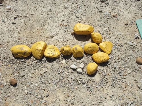 137210464FA7BD9E249259