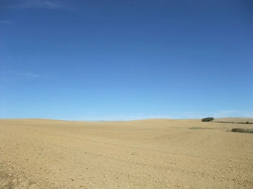 1412884F4F93A02F2C8BDA