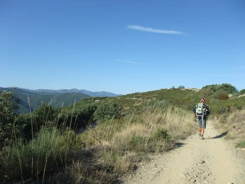 1579BA404FC0516A340566