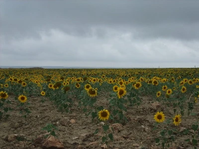 2072E94E4F689063277B30