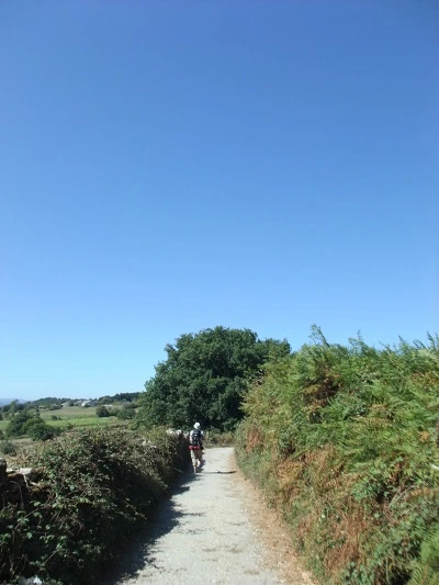 1527CC344FE71E860F4FF7