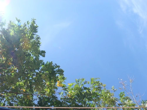 153A11344FB7929006F6E5