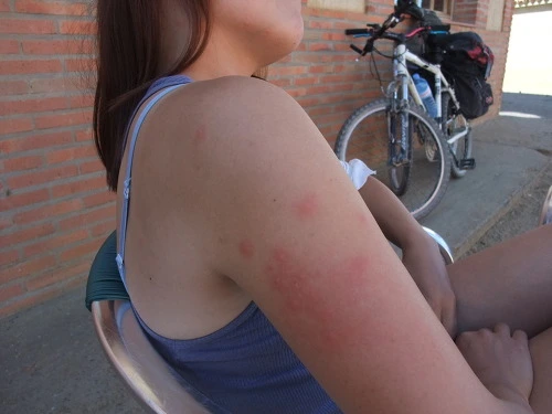 136849464FA7BE0639DCE5