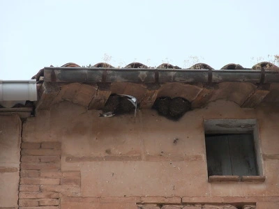 142FF9504F29563923AF06