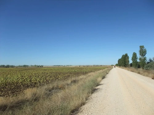 19210D414F9F78CC1E562A