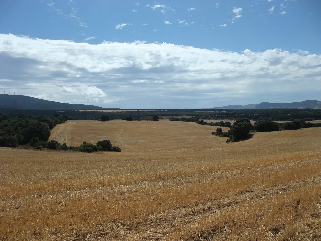 172770384EE4C111367B7B