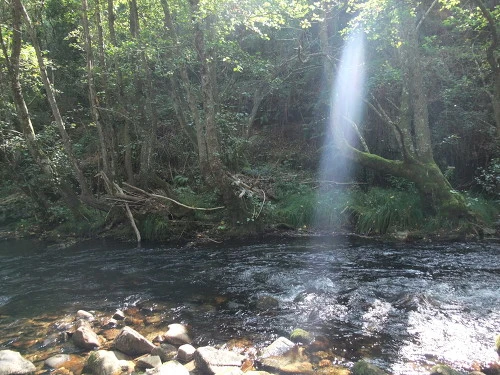 203ED23E4FCB3BC42FCC08