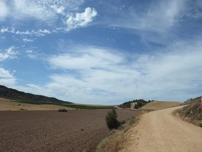 185194474EF8830418D318