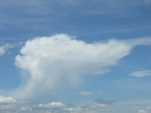 1236864F4F2E8CA8215344