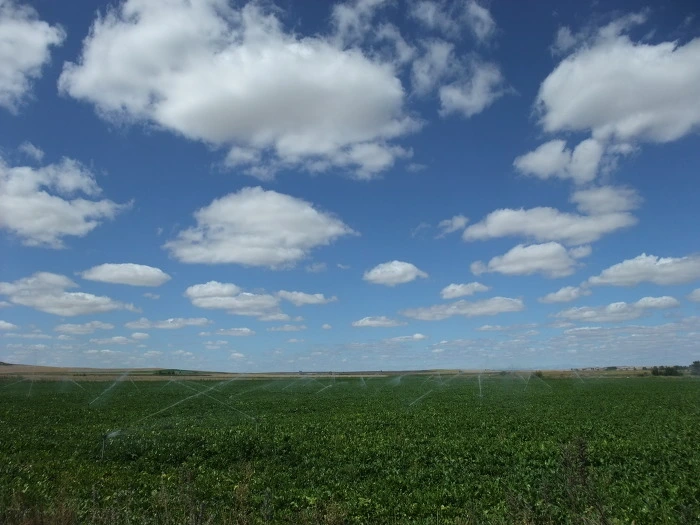 20531E444F8C16A9345407