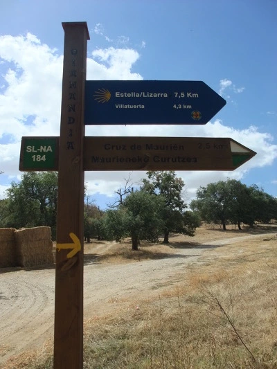 1513BE344EF717E003EC4A