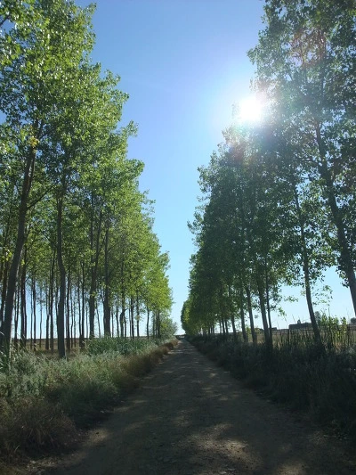 1461EF444F8C16F51928D2