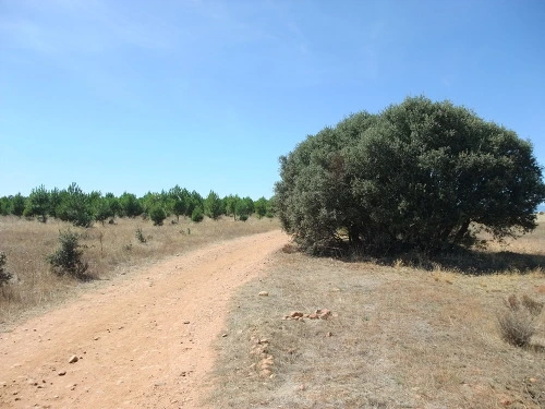 1938B6344FB79245074911