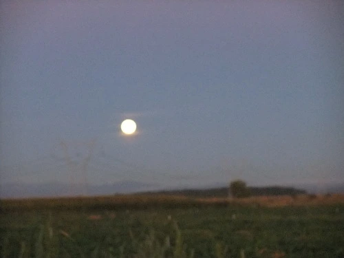 172860344FB791C61B228B