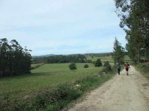 1410824B507AA29B26CC77