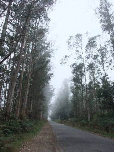 156B4E465029052211BAAB