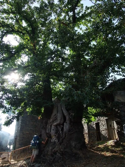 175A8C384FD4A73731230F