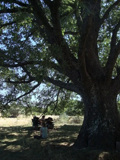 191014464FBCE5B313D1EA