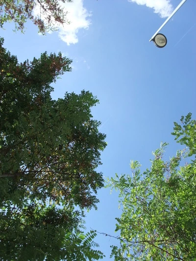 20441B3E4ED5B8183213B9