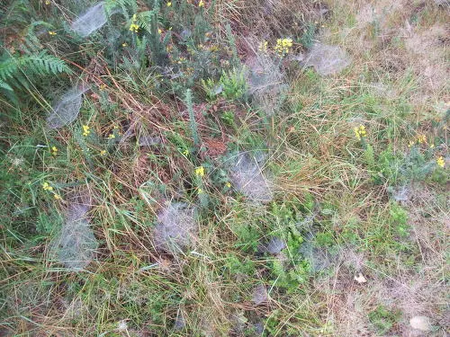 186F32384FD4A6E209BB7F