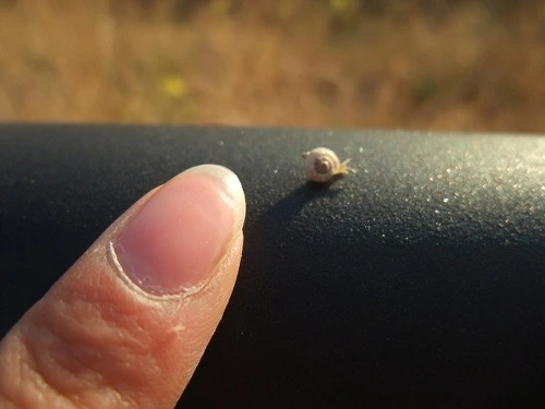 1418FF4F4F939FC224FCF0