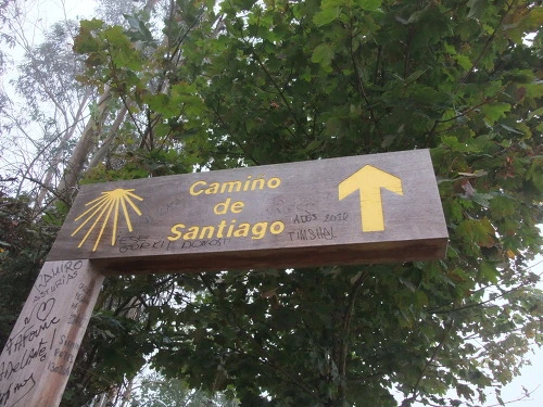 150F1E34502904D636DDE3