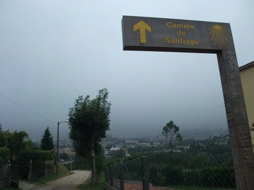 1858DD465029053F2B4CA0