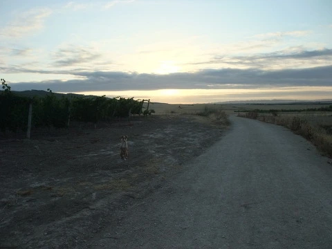 1560C0494EF9CEE10D1A36