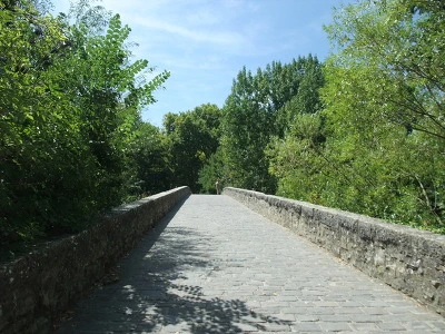 1976923B4ED5C5C8228DD7