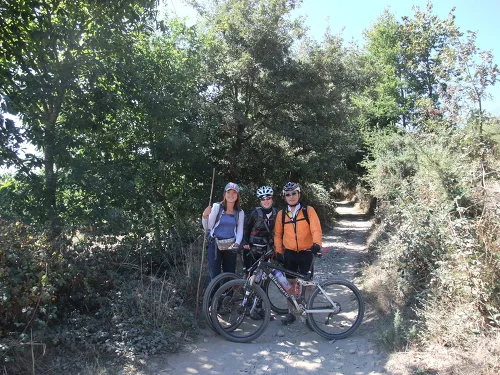 132725344FE71EB313AE81