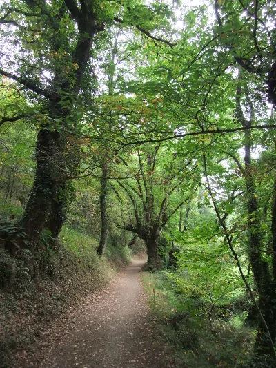 16445A484FE5916E33735C