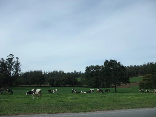 1615294B507AA23B194B56