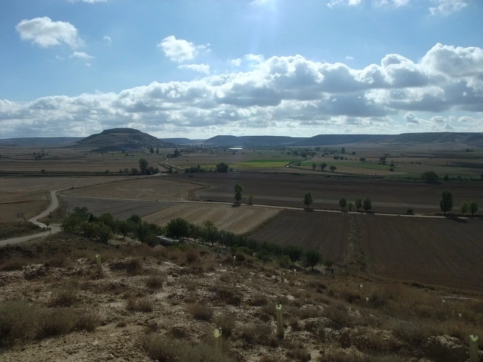 200F3E384F8C162C12BFF6