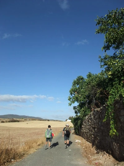 163885394EEDEB2A1674F1