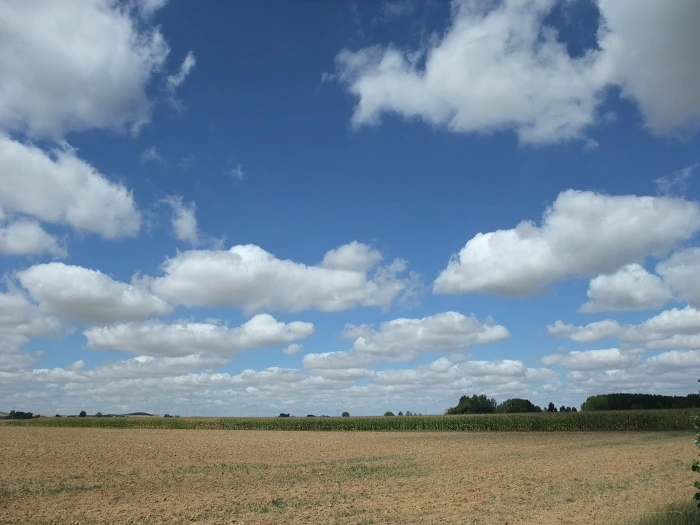 1703D6384F8C16872E2326