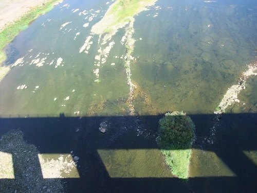 122C3B3C4FE71F9F0E915B