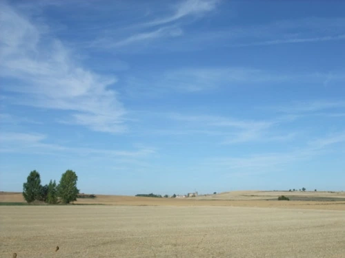 120A334F4F939FFB32BCF0