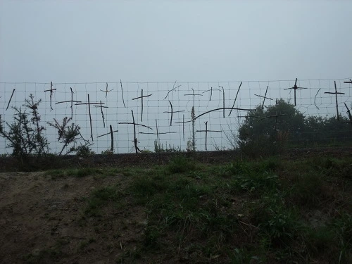 16145534502904FE2DA8DD