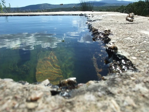 12013C464FBCE5CB317DB8