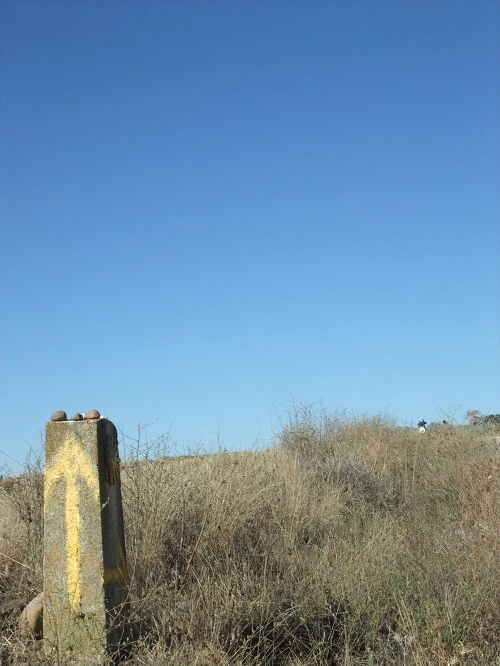 151D8A414F9F79011D2564