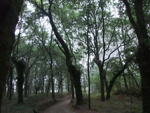 140B7D345029041F375543