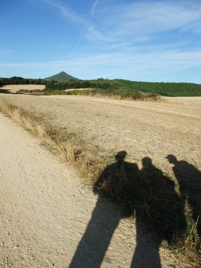 1972A7444EF8779E280949