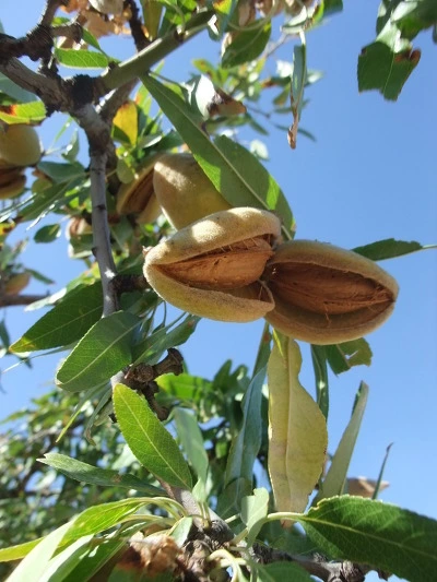 171865464EF9D587028ECF