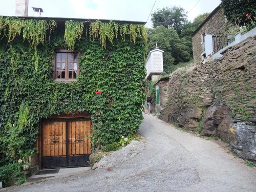 194A26484FE5913725194D