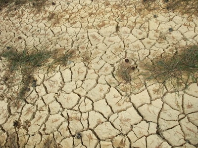 1265734F4F5E0E0012CE4A