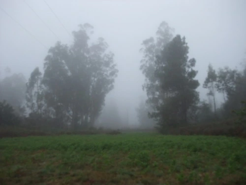 1318D84B507AA1FC107E65