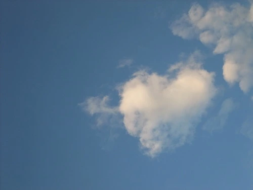 130852464FBCE6142242E7