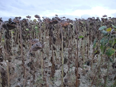 175147434EE4BC6218BC41