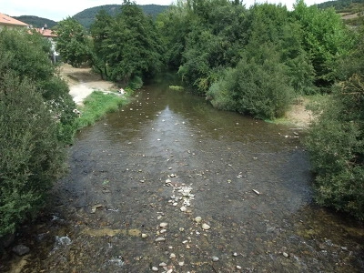 1231864A4EC5CD060D954B