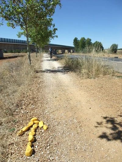 116BDD464FA7BDD7307E40